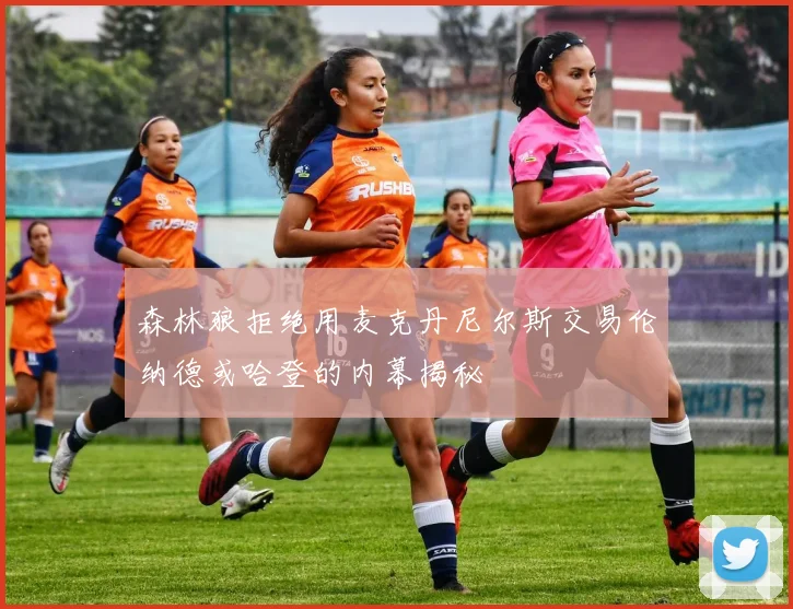 森林狼拒绝用麦克丹尼尔斯交易伦纳德或哈登的内幕揭秘